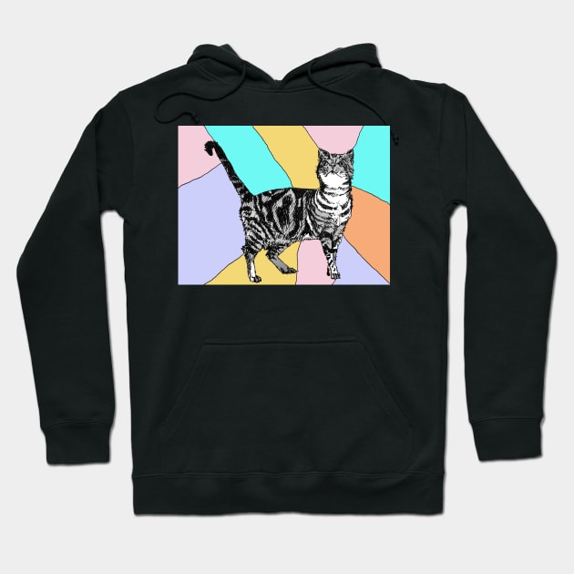 Tabby Cat Striped Cute Cats - Pastel Rainbow Hoodie by SarahRajkotwala